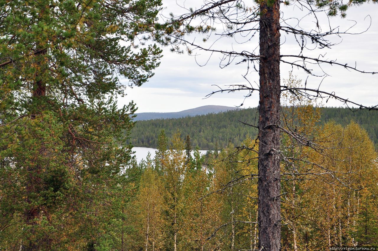 На встречу с осенью Килписярви, Финляндия