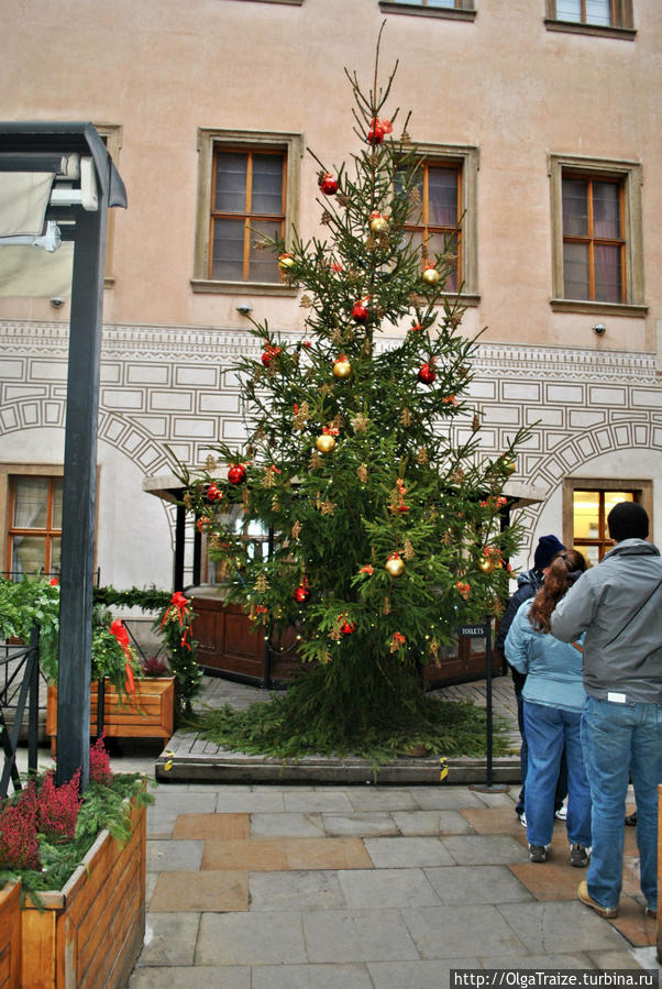 Новогоднее настроение Прага, Чехия Новогоднее настроение Прага, Чехия