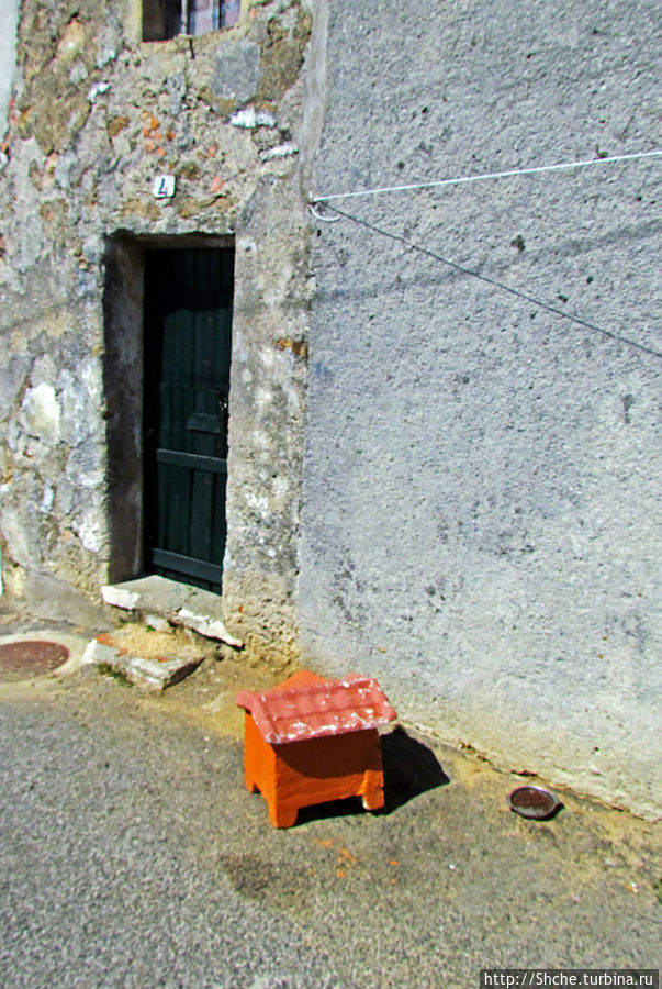 а это реальная будка с собакой:))) Мафра, Португалия