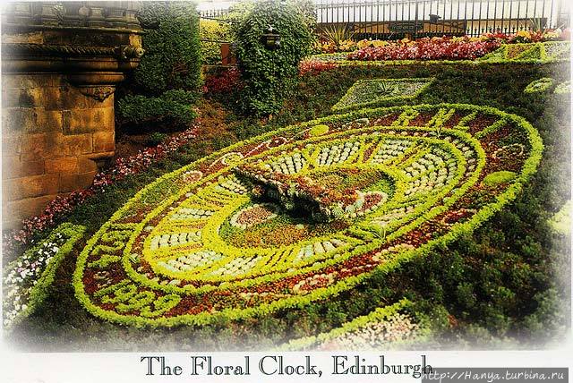 Цветочные часы в Эдинбурге. Фото из интернета Эдинбург, Великобритания