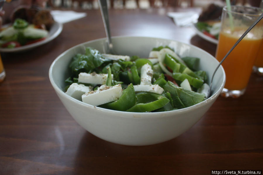 Греческий салат/ Village salad Кипр