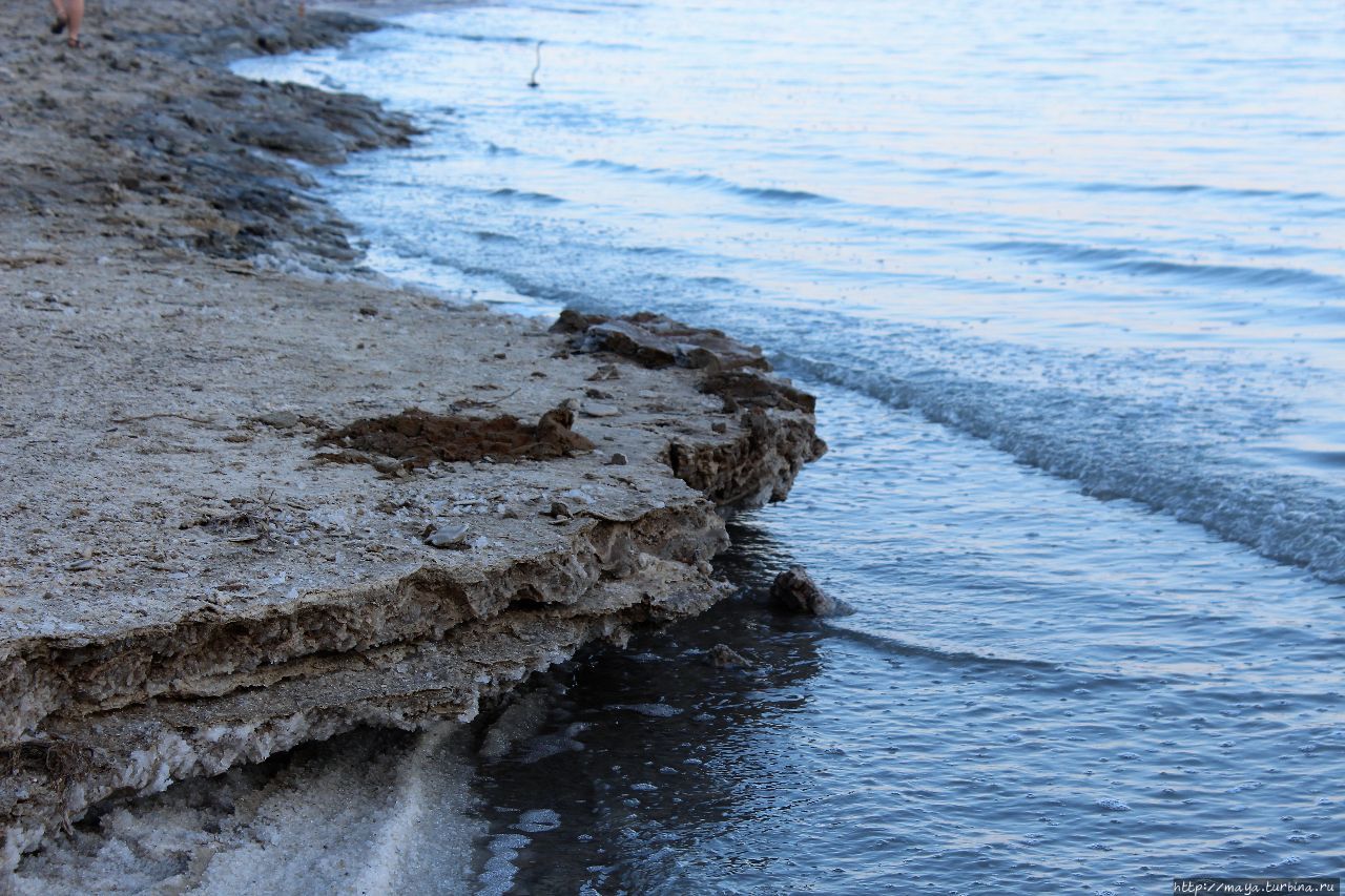 Зимнее купание в Мертвом море Мертвое море, Израиль