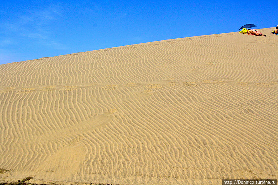 к геометрии дюн мы еще вернемся, дюна Маспаломас в этом смысле наглядное пособие Остров Гран-Канария, Испания