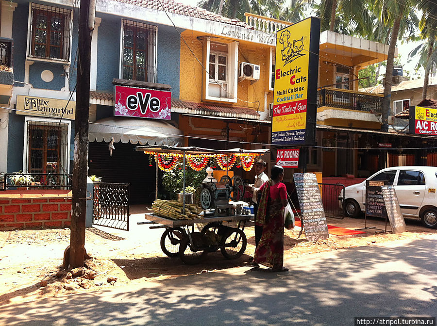 Сахарный тростник. Передвижная установка Кандолим, Индия Сахарный тростник. Передвижная установка Кандолим, Индия