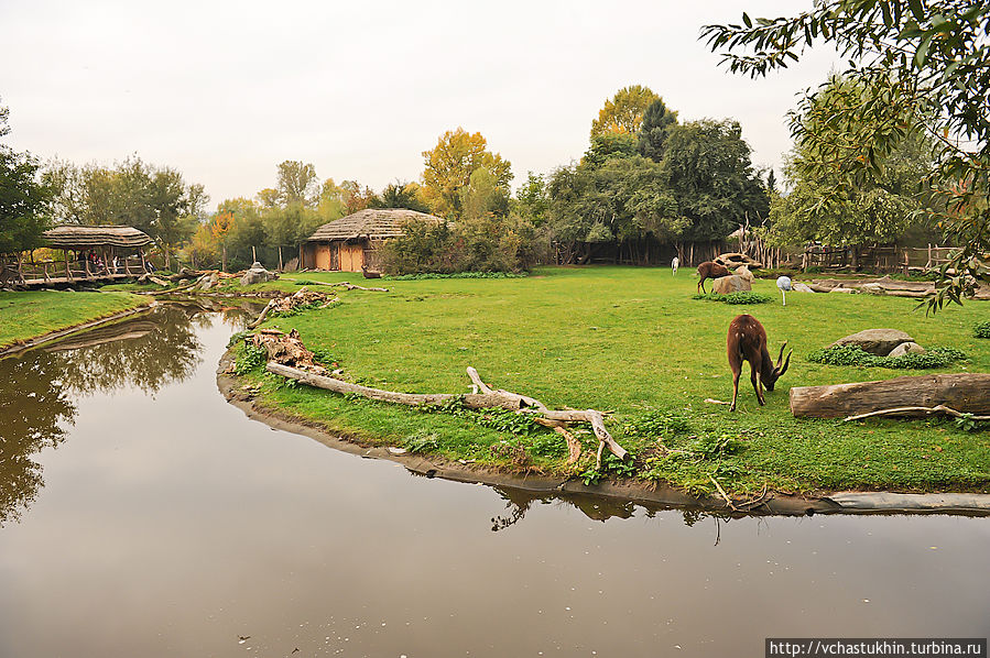 Открытый вольер в Пражском зоопарке. Открытый вольер в Пражском зоопарке.