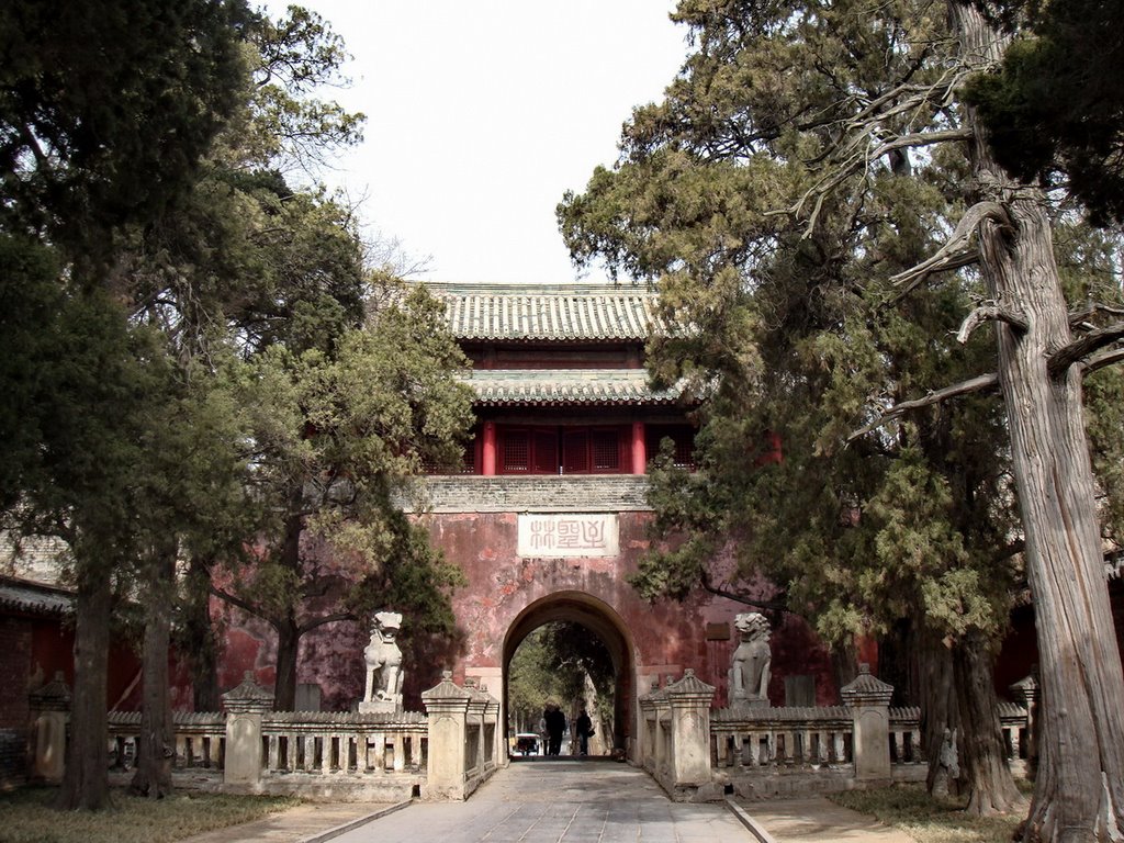 Кладбище Конфуция / Cemetery of Confucius