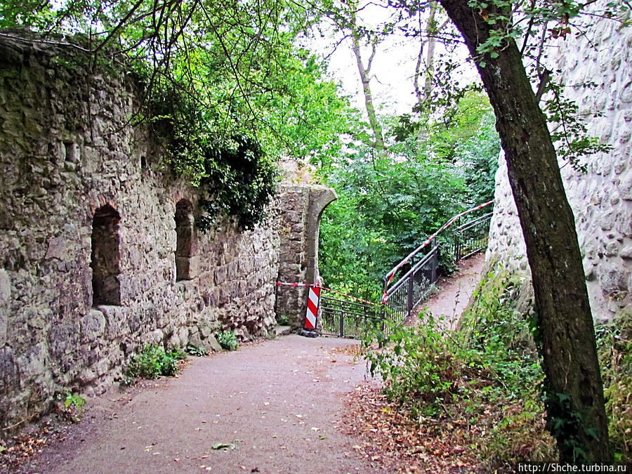 вот здесь дорога к замку раздвоялась, вверх мы выбрали более крутую и короткую, оказалось, в этом нет необходимости... вот здесь дорога к замку раздвоялась, вверх мы выбрали более крутую и короткую, оказалось, в этом нет необходимости...