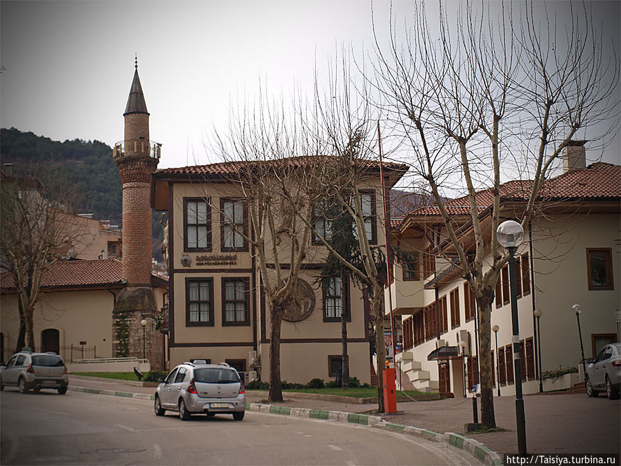 окрестности реки окрестности реки