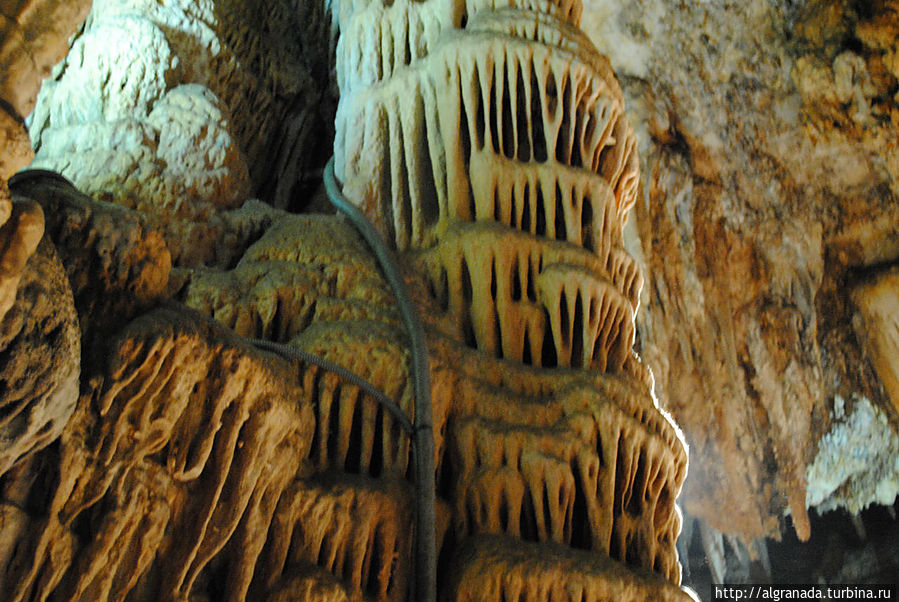 Чем не Гауди? Чем не Гауди?