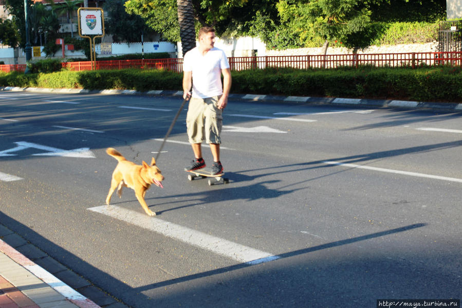Как я провела Судный день Как я провела Судный день