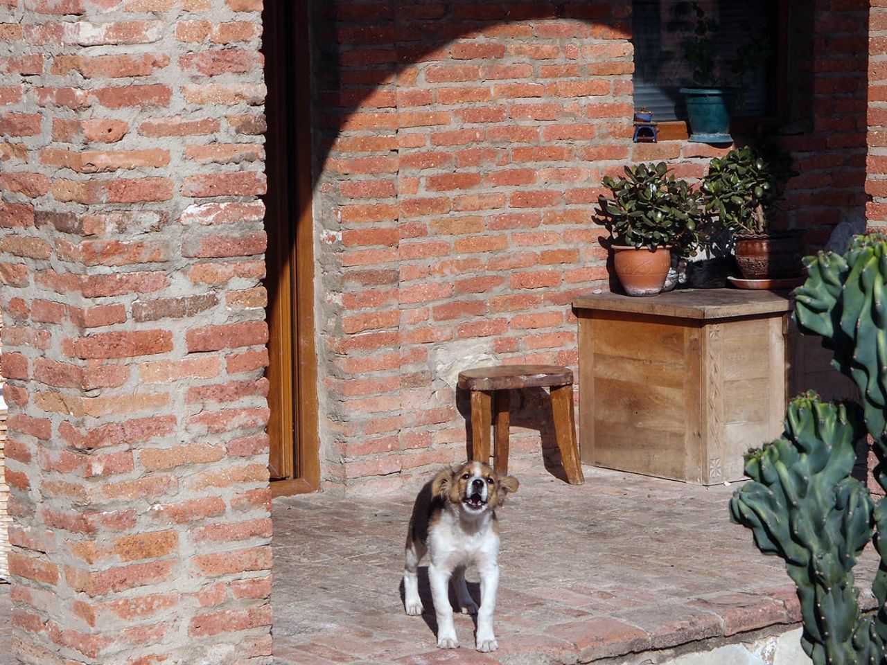 Град равноапостольной Нино Мцхета, Грузия Град равноапостольной Нино Мцхета, Грузия