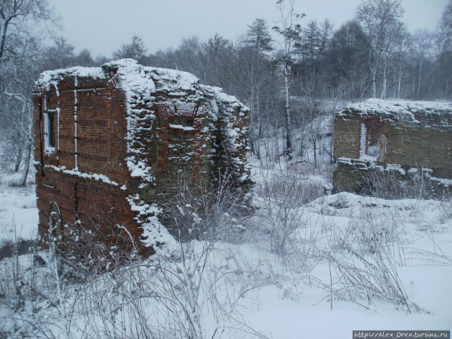Остатки прежней роскоши Гостилицы, Россия Остатки прежней роскоши Гостилицы, Россия