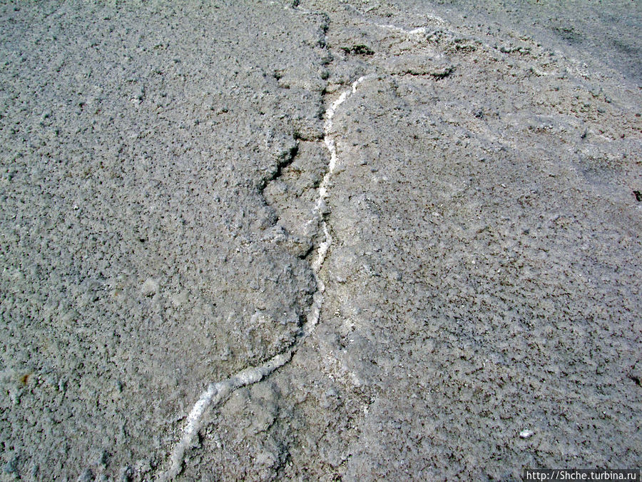 но красывые соляные образования поворочивались ко мне примерно такими видами но красывые соляные образования поворочивались ко мне примерно такими видами