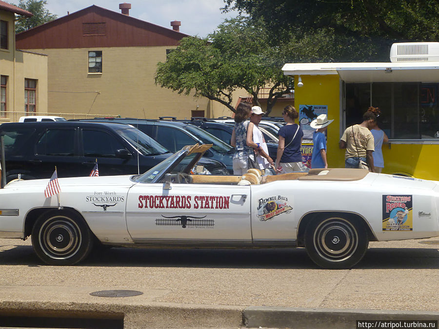 Авто с рогами Штат Техас, CША