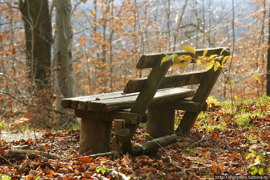 Немножко осени в штутгартском парке Немножко осени в штутгартском парке