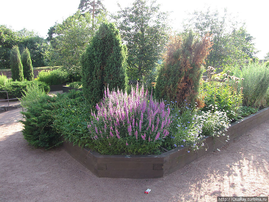 Парк специй в редуте. Парк специй в редуте.