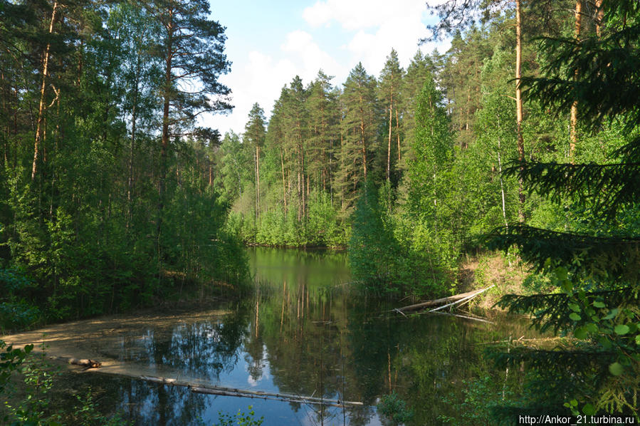 Чваниха — райский уголок Кировская область, Россия Чваниха — райский уголок Кировская область, Россия