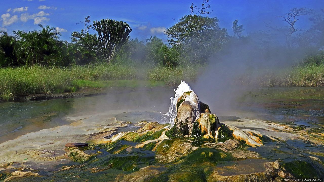 Горячие источники Мумбуга (женский бассейн) Семулики Национальный Парк, Уганда