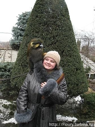 Подруга по году рождения — обезьяна. К ней Чип был наиболее неравнодушен Запорожье, Украина