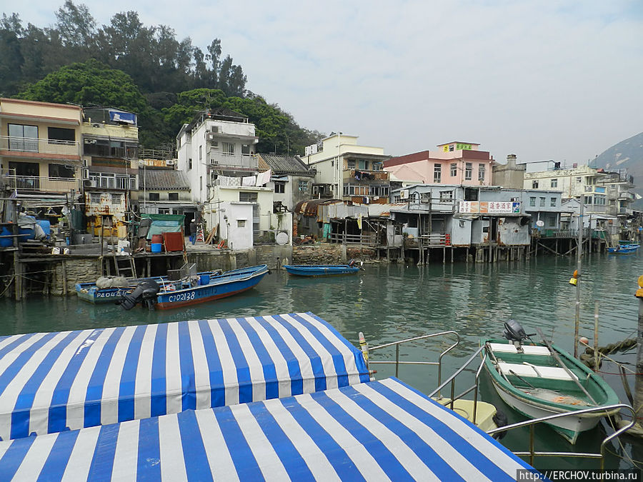 Прогулка на моторной лодке Остров Лантау, Гонконг