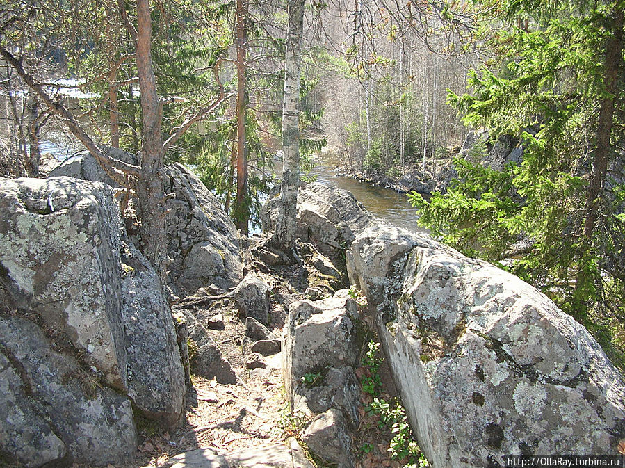 Лес, камень и вода. Кивач Заповедник, Россия