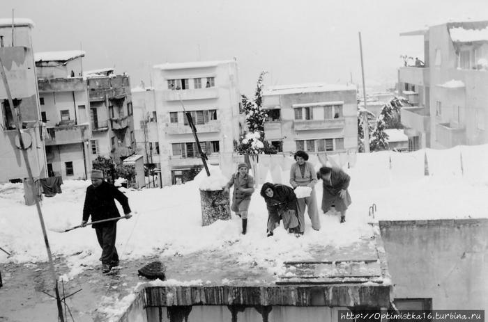 Снег в Хайфе зимой 1950 г
