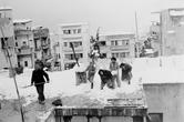 Снег в Хайфе зимой 1950 года. (из интернета)