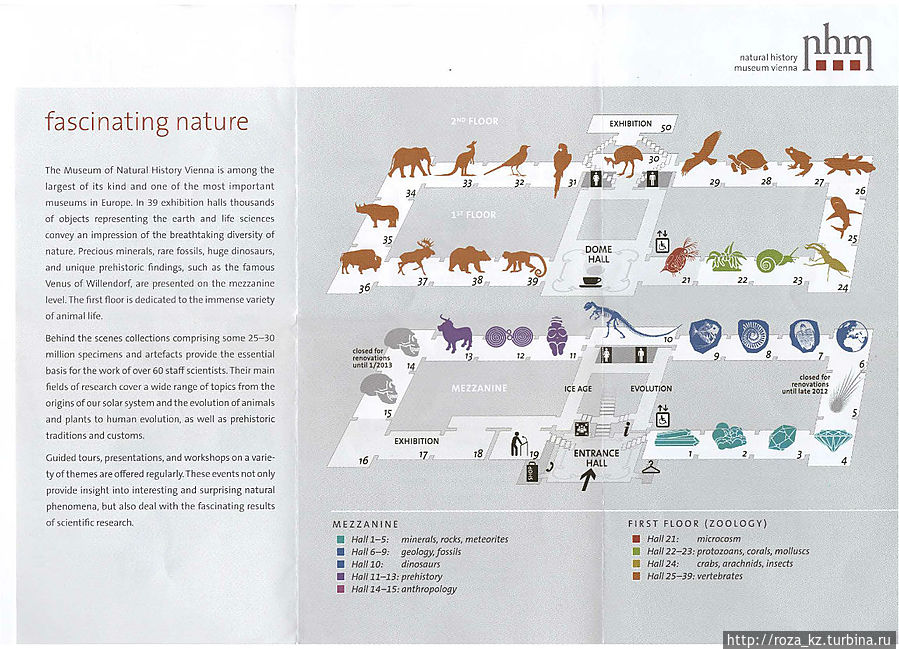 схема расположения залов схема расположения залов