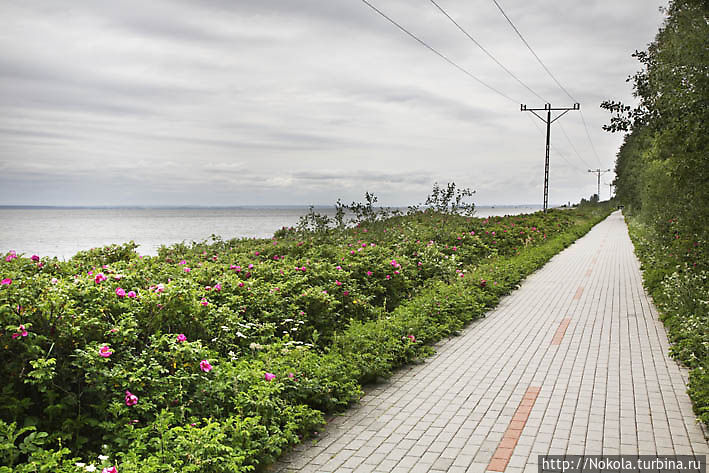 Дорога вдоль моря, связывающая соседние населенные пункты Дорога вдоль моря, связывающая соседние населенные пункты