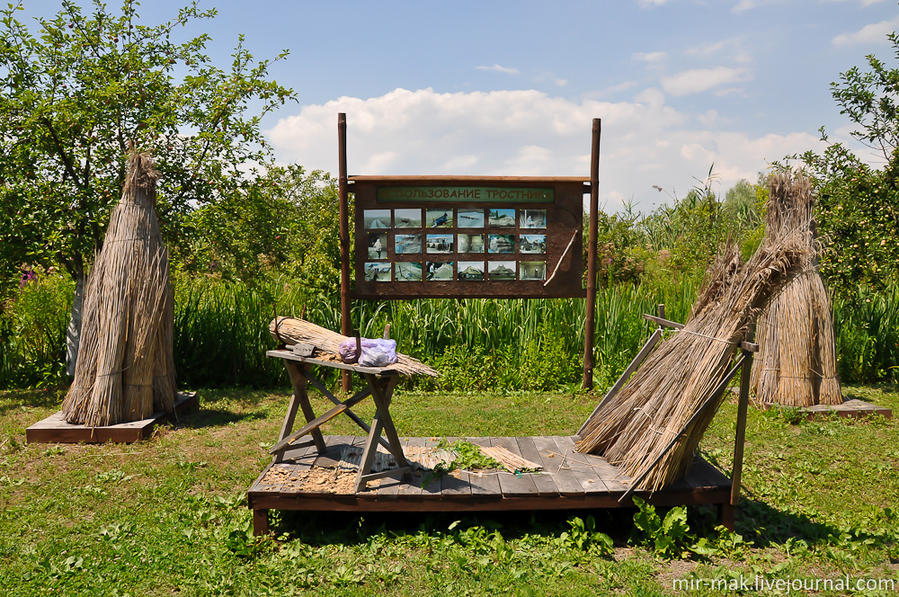 Заготовка тростникового камыша. Вилково, Украина