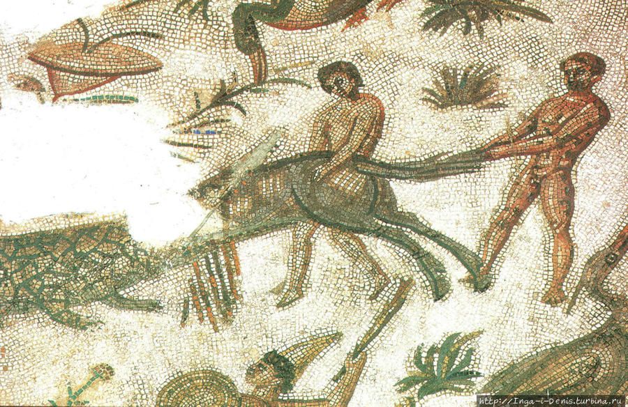Одна из античных мозаик в музее Сусса (открытка) Сусс, Тунис