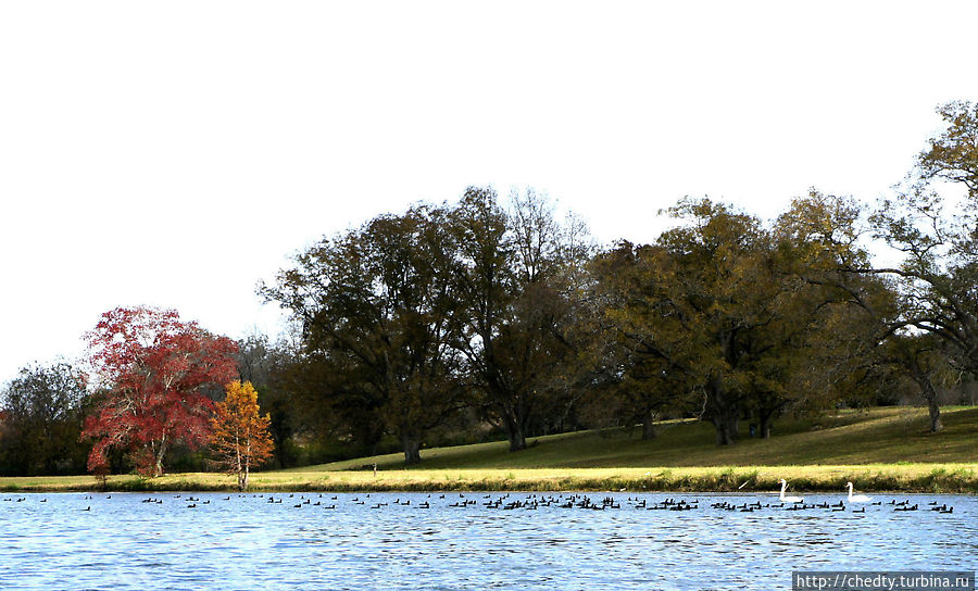 Осеннее озеро (модерато ассаи) Остин, CША