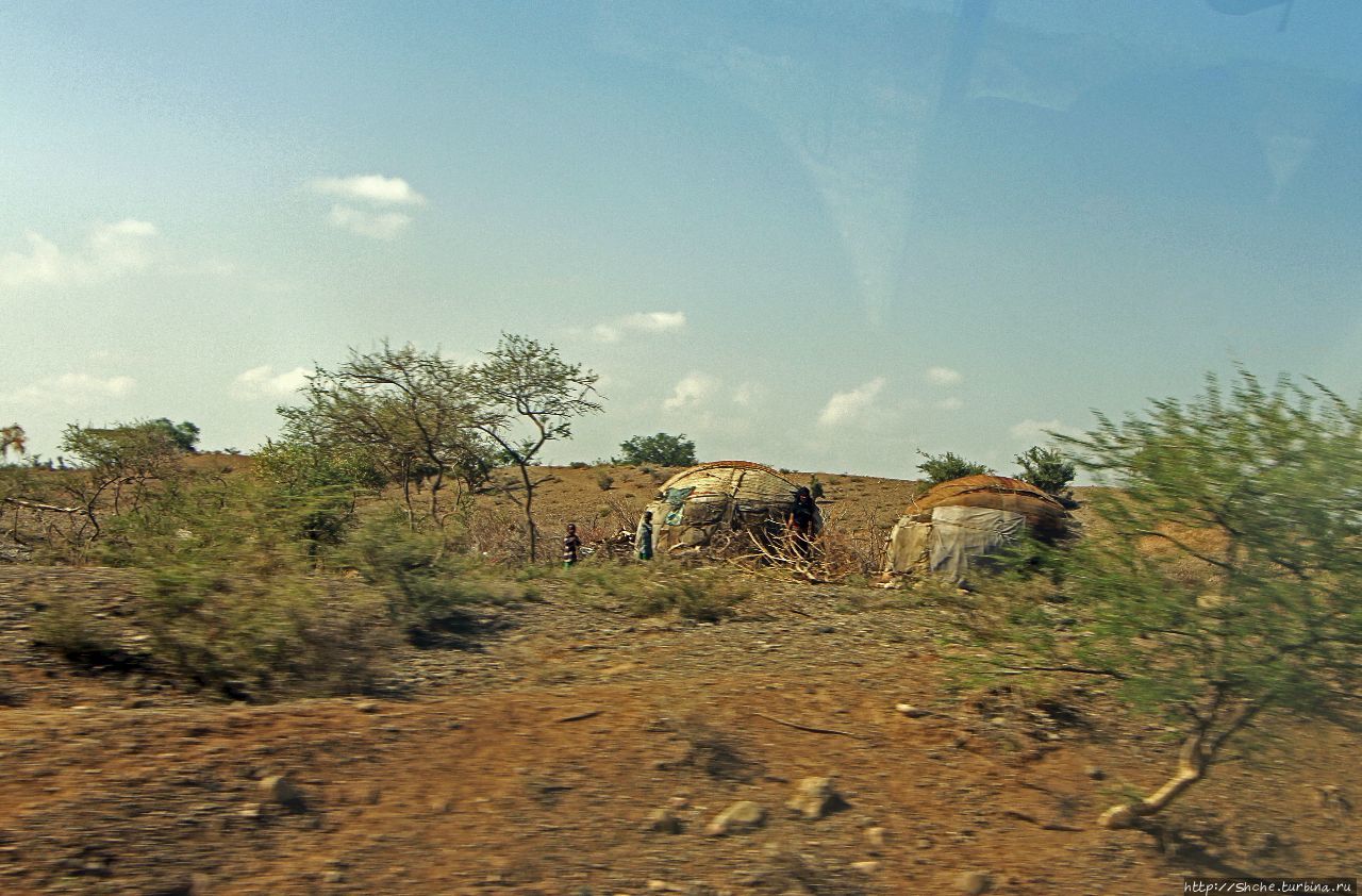 Эфиопские картинки. Дорога в Лалибелу. Пустынный регион Афар Регион Афар, Эфиопия