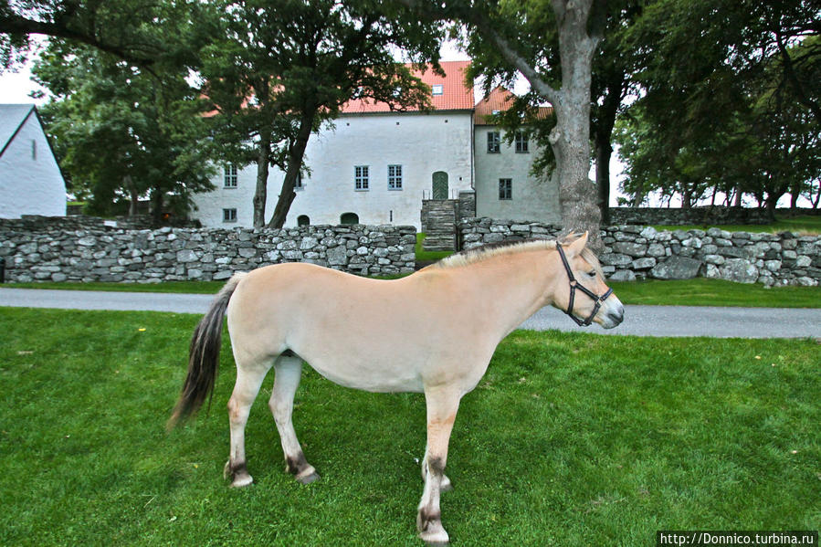 23 дня в Арктике — Ч1 — Юго-Западная Норвегия Западная Норвегия, Норвегия 23 дня в Арктике — Ч1 — Юго-Западная Норвегия Западная Норвегия, Норвегия