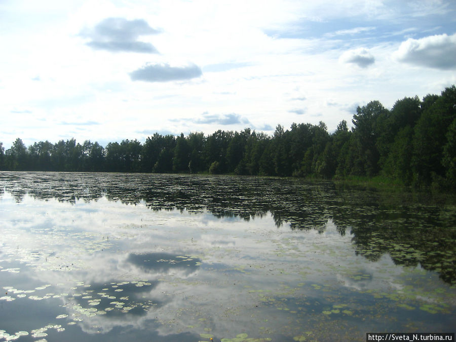 Озеро Круглое Покров, Россия