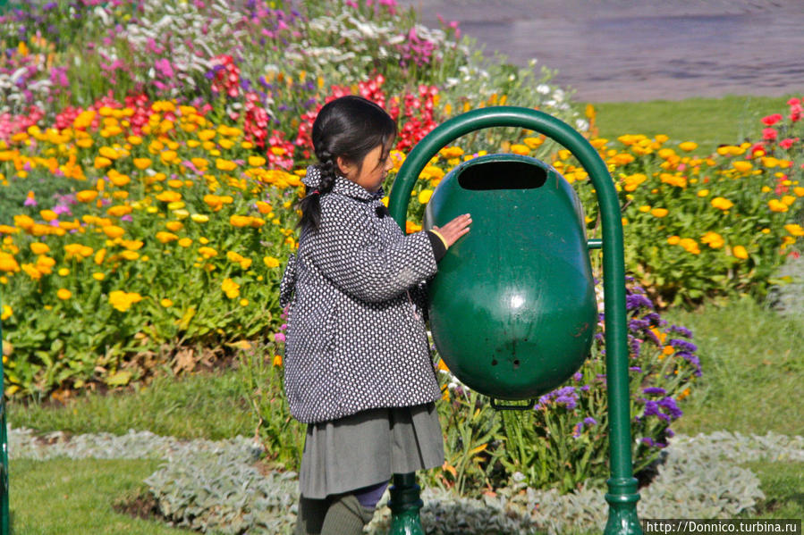 Куско, Куско, вперед! Куско, Перу Куско, Куско, вперед! Куско, Перу