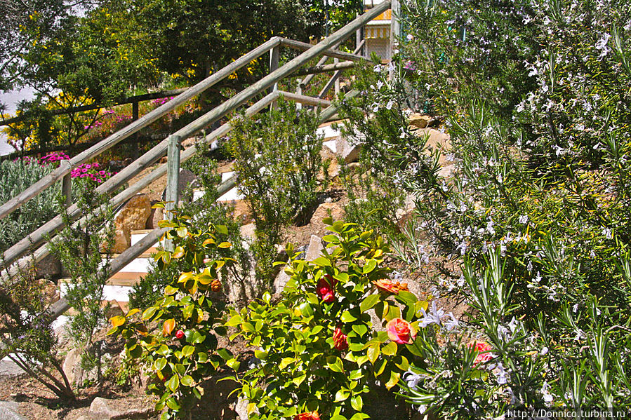 Весенний бранч на нашем дворе Каталония, Испания Весенний бранч на нашем дворе Каталония, Испания