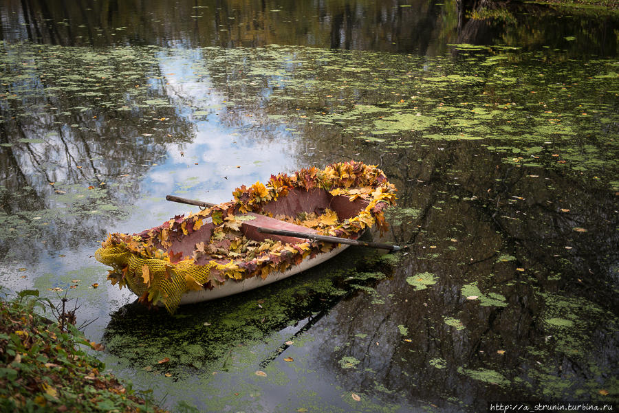 Как снимать у себя на даче?.. Москва, Россия Как снимать у себя на даче?.. Москва, Россия