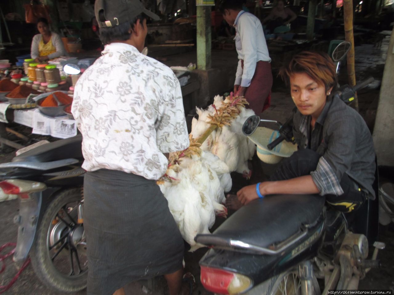 Рынок Бахозайгйи Таунгу, Мьянма