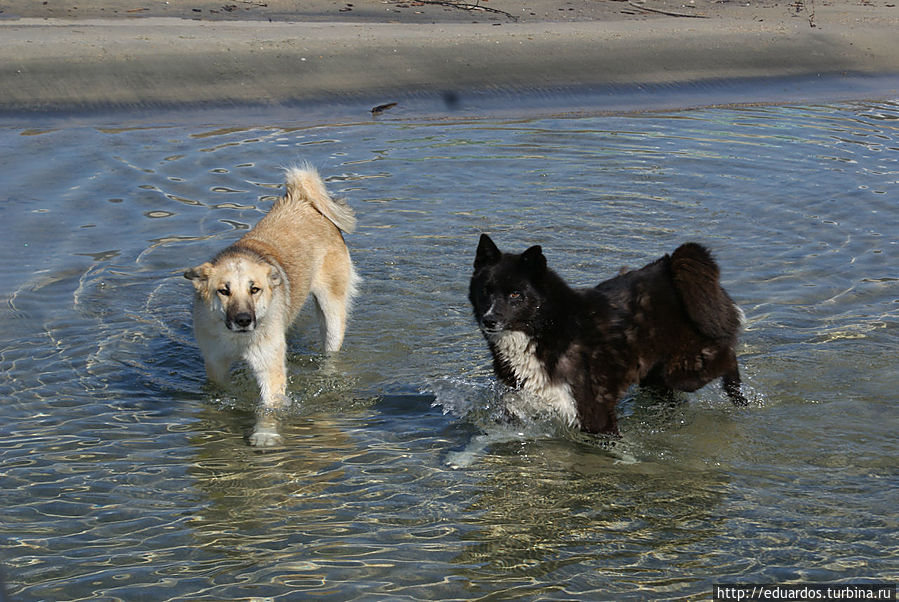 Байкальская рыбалка))) озеро Байкал, Россия Байкальская рыбалка))) озеро Байкал, Россия