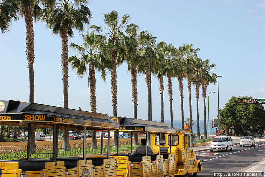 г. Пуэрто де ла Крус г. Пуэрто де ла Крус