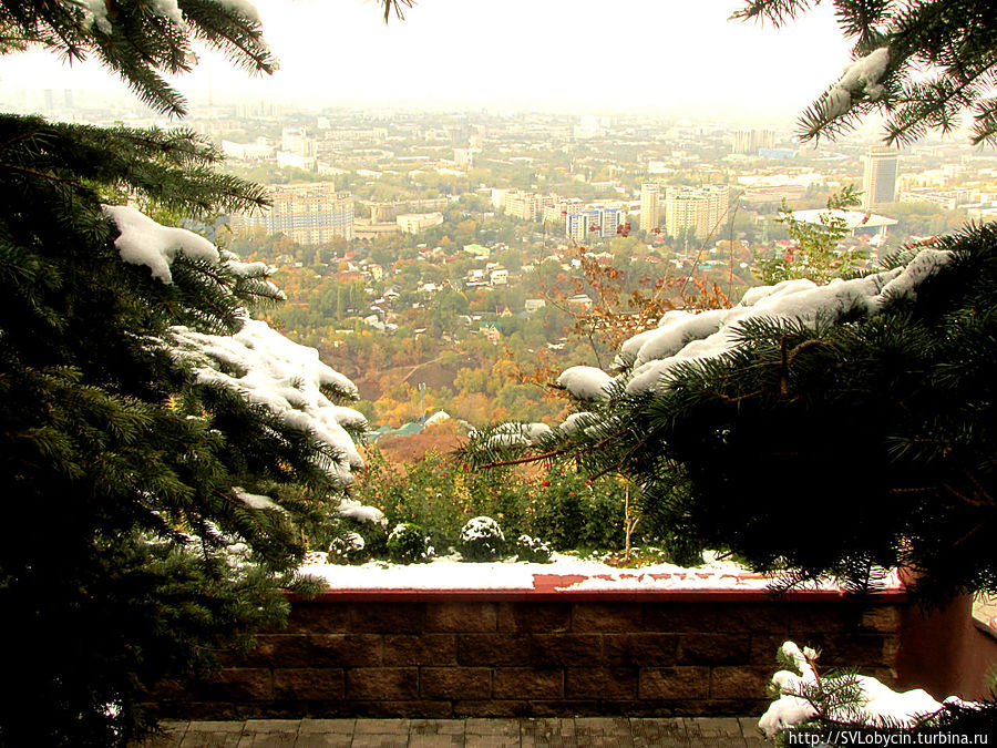 На горе Кок-Тобе На горе Кок-Тобе