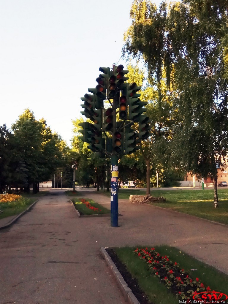 Светофорное дерево в Пензе Пенза, Россия