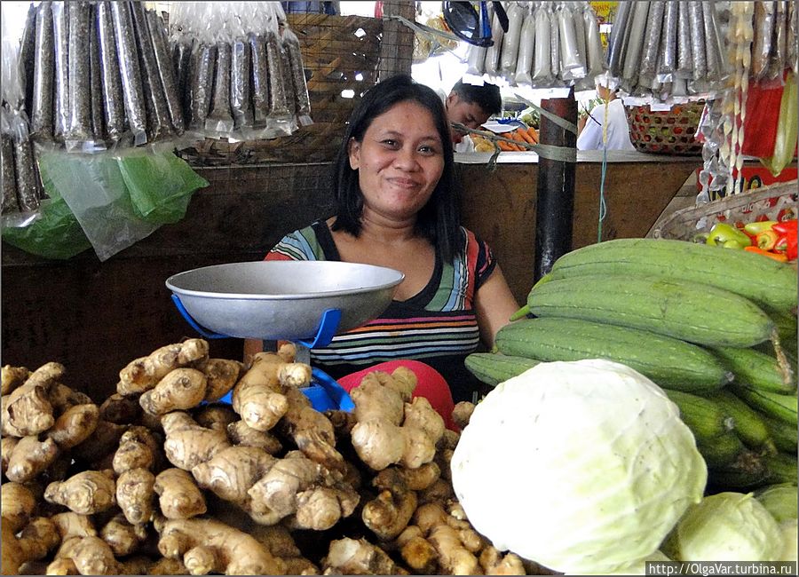 Филиппинцы добавляют имбирь почти во все блюда. Имбирь издревле называли Филиппинцы добавляют имбирь почти во все блюда. Имбирь издревле называли