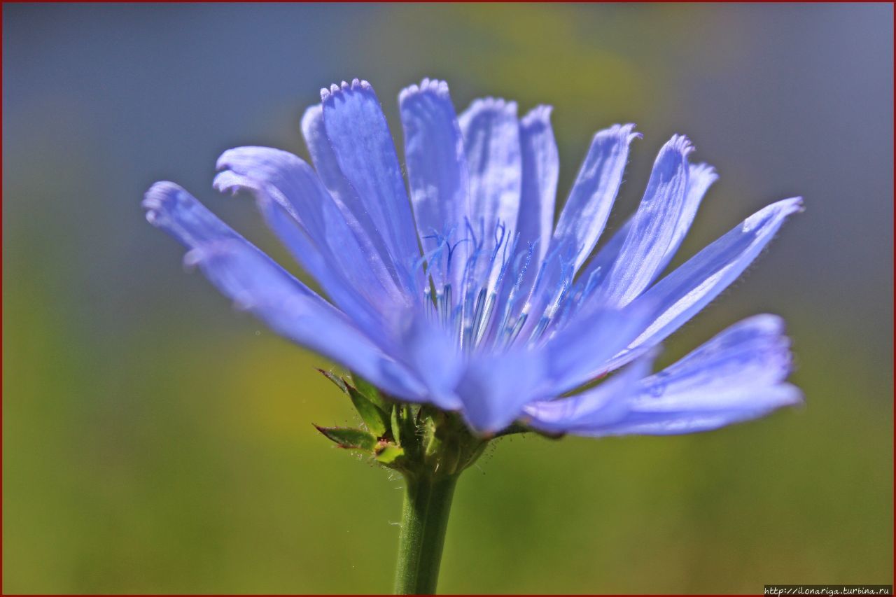 Про лето Латвия Про лето Латвия