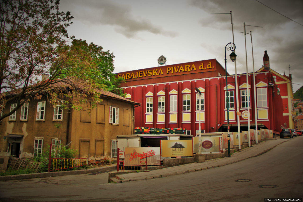 Сараевская пивоварня. Пив