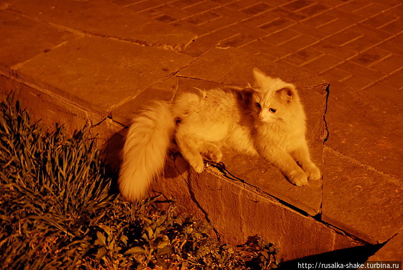 Ночная прогулка из Европы в Азию Ростов-на-Дону, Россия Ночная прогулка из Европы в Азию Ростов-на-Дону, Россия