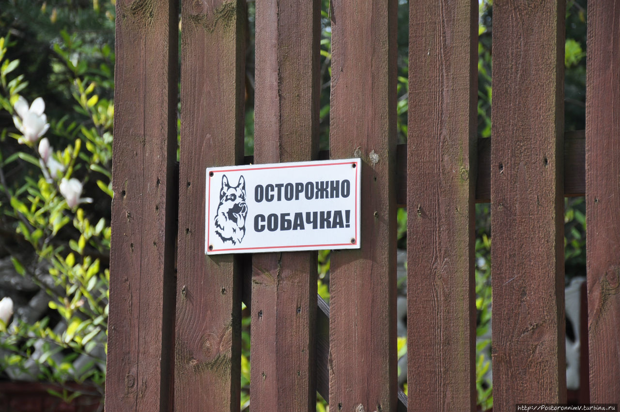 Забавные надписи Калининград, Россия