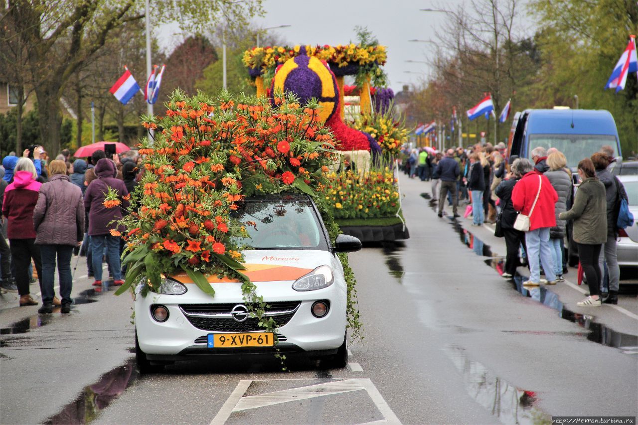 Парад цветов 2017 Сассенхейм, Нидерланды