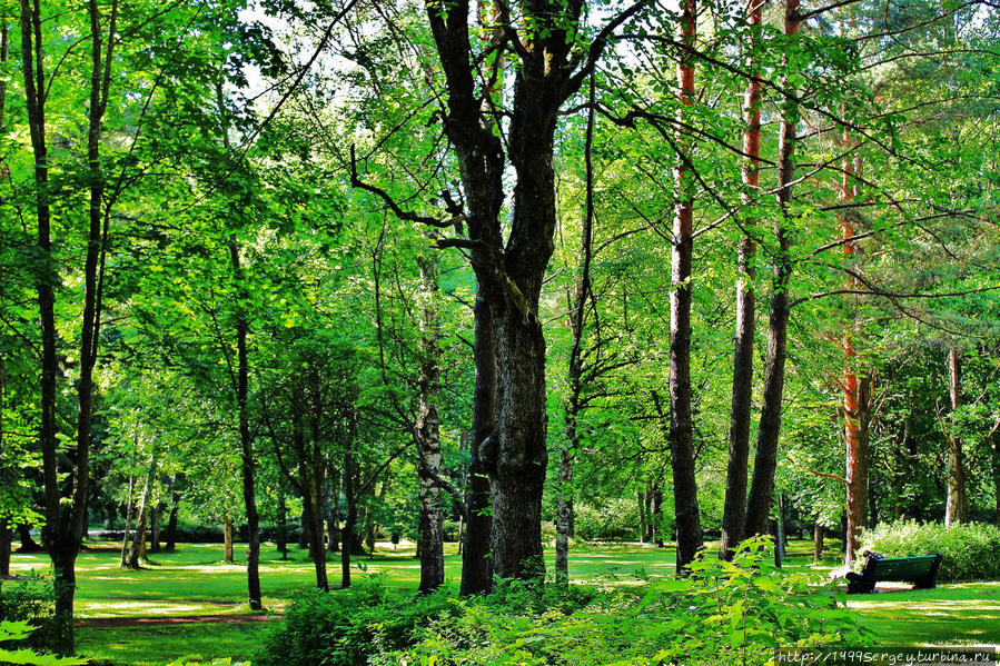 Светлый парк Нарвы-Йыэсуу и некоторые его истории Нарва-Йыэсуу, Эстония